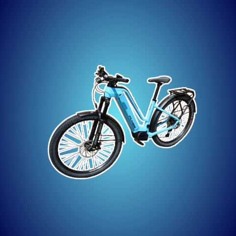 Flyer E-Bike