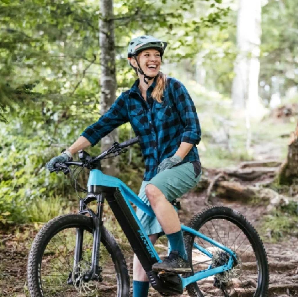 Flyer E-Bike